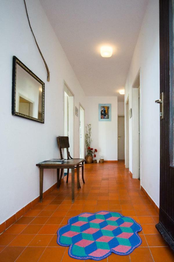 Apartments Podatok 4 Primosten Bagian luar foto